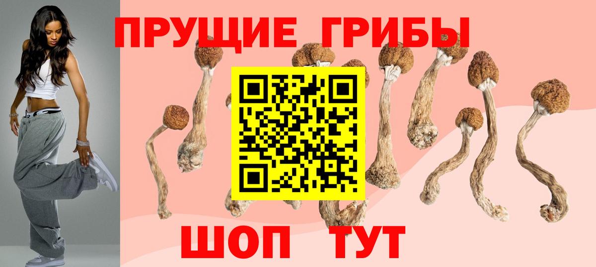 Галлюциногенные грибы ЛСД Мытищи